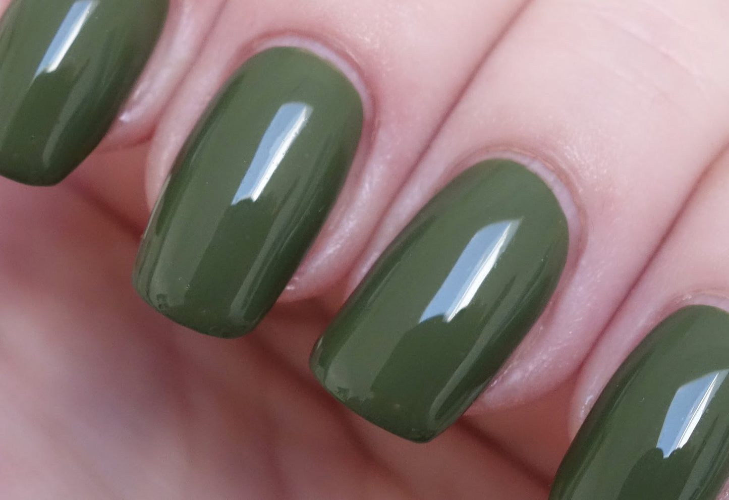 Olive for green (IS L66)